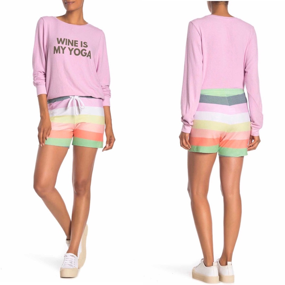 Wildfox Carter Rainbow Stripe Drawstring Shorts 🌈